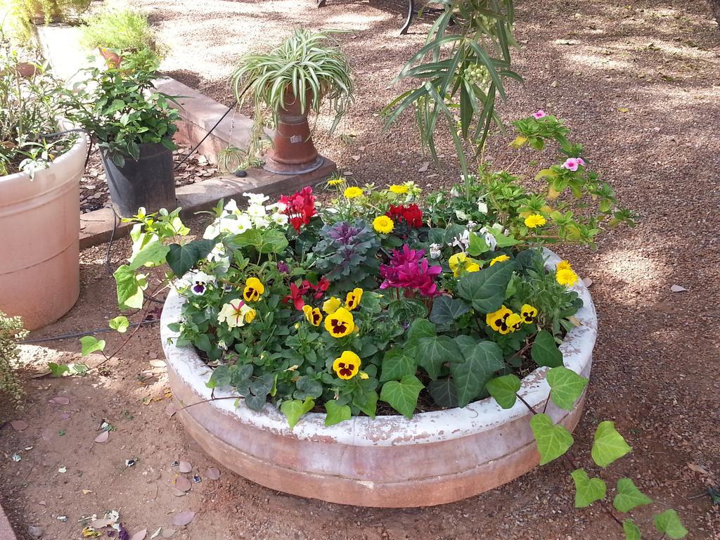 Sam Hughes Inn B&B Τούσον Εξωτερικό φωτογραφία