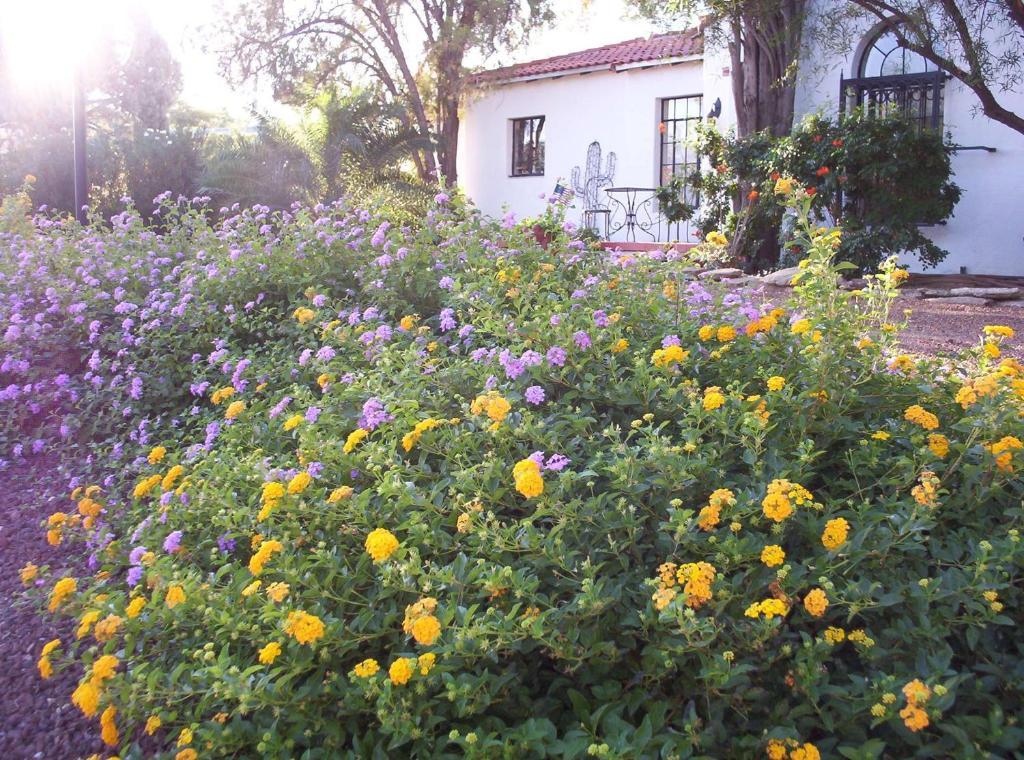 Sam Hughes Inn B&B Τούσον Εξωτερικό φωτογραφία